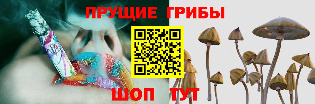 Псилоцибиновые грибы Psilocybine cubensis  Вход с VPN  Галлюциногенные грибы прущие грибы  Отрадный 